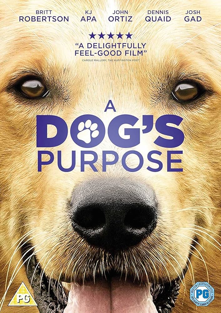 Amazon.com: A Dog's Purpose [DVD] [2017] : Movies & TV